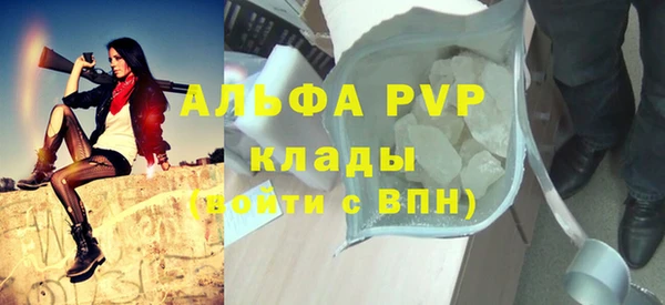 прущие грибы Богородицк