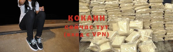прущие грибы Богородицк