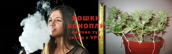прущие грибы Богородицк