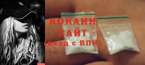 прущие грибы Богородицк