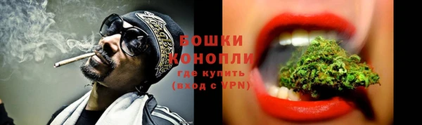 прущие грибы Богородицк