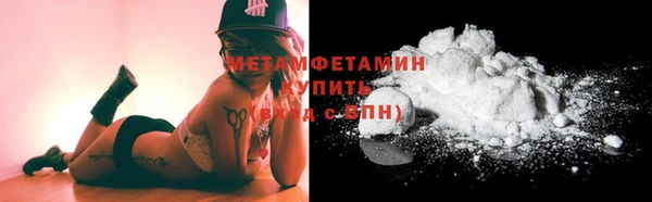 прущие грибы Богородицк