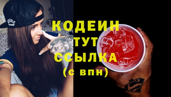 прущие грибы Богородицк