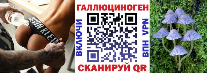Купить где  Кувшиново  Псилоцибиновые грибы Psilocybe 